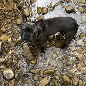 Meet your Posher, Mindy